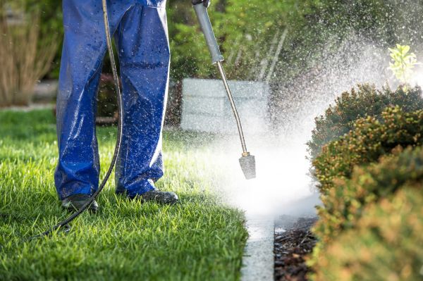 Curb Cleaning in Mission Viejo