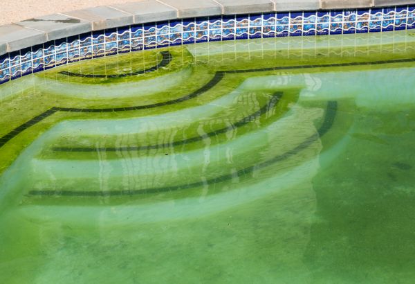 Pool Deck Algae Removal in Mission Viejo