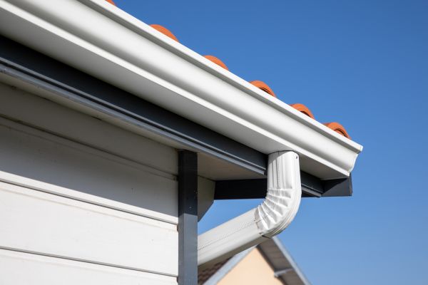 Roofline Cleaning in Mission Viejo