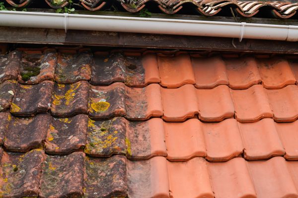 Industrial Roof Cleaning in Mission Viejo